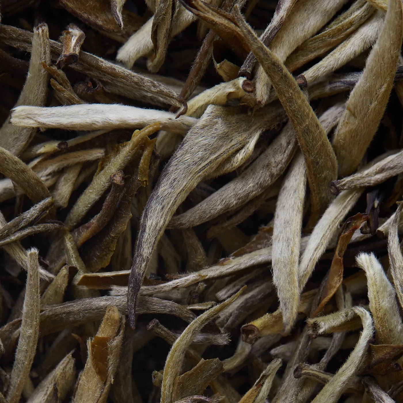 Beli čaj Jasmine Imperial - 50 g