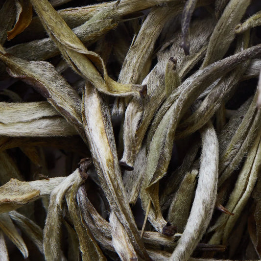 Beli čaj YUNNAN YIN ZHEN - 50 g