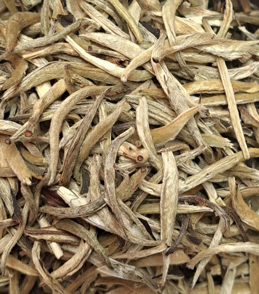 Beli čaj PAI MU TAN S SREBRNIMI IGLICAMI - 50 g